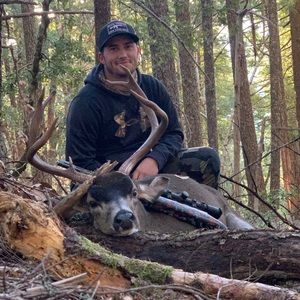 Meet your Posher, Donald